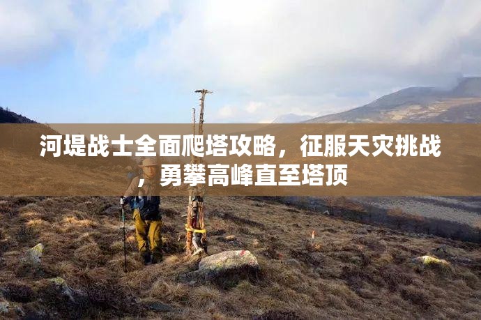 河堤战士全面爬塔攻略，征服天灾挑战，勇攀高峰直至塔顶