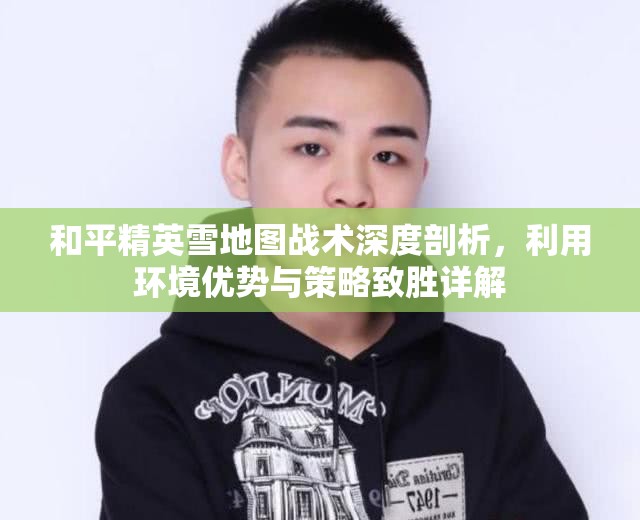 和平精英雪地图战术深度剖析，利用环境优势与策略致胜详解