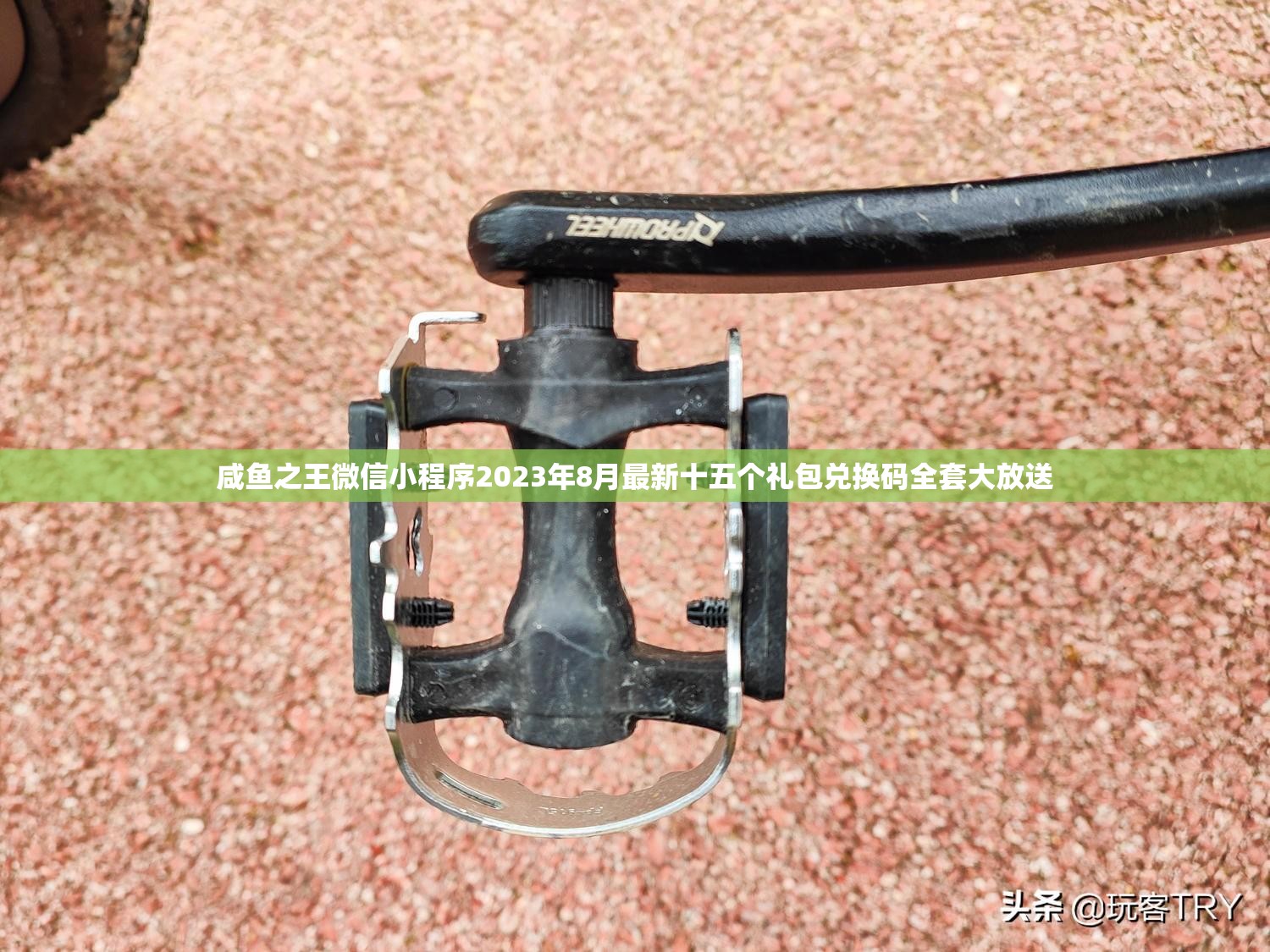 咸鱼之王微信小程序2023年8月最新十五个礼包兑换码全套大放送