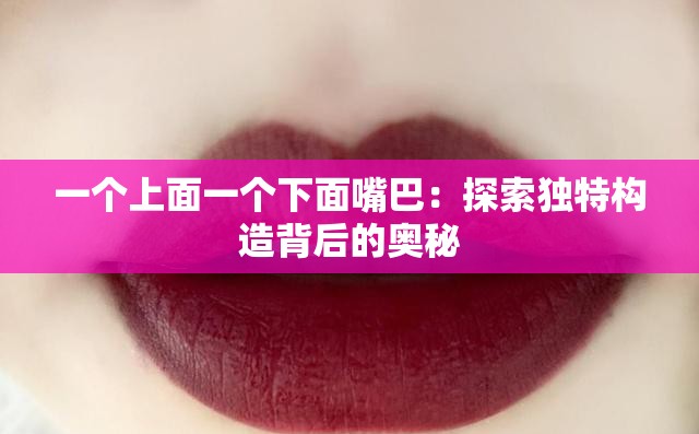 一个上面一个下面嘴巴：探索独特构造背后的奥秘
