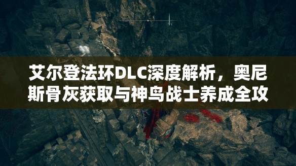 艾尔登法环DLC深度解析，奥尼斯骨灰获取与神鸟战士养成全攻略