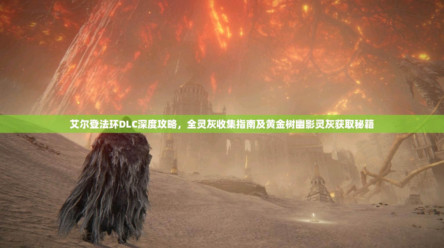 艾尔登法环DLC深度攻略，全灵灰收集指南及黄金树幽影灵灰获取秘籍