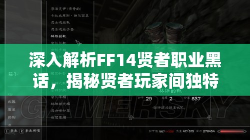 深入解析FF14贤者职业黑话，揭秘贤者玩家间独特的秘密语言与交流艺术