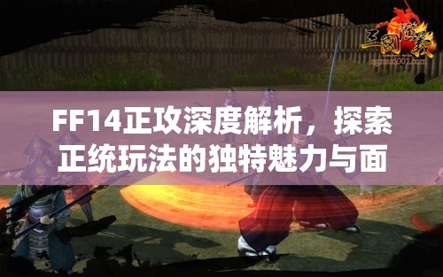 FF14正攻深度解析，探索正统玩法的独特魅力与面临的多重挑战