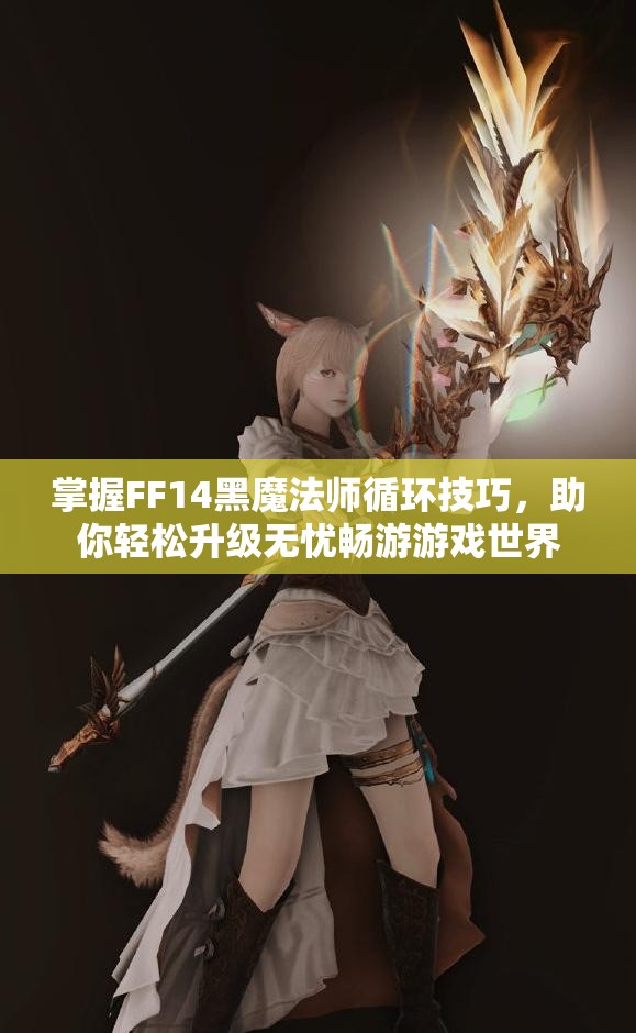 掌握FF14黑魔法师循环技巧，助你轻松升级无忧畅游游戏世界