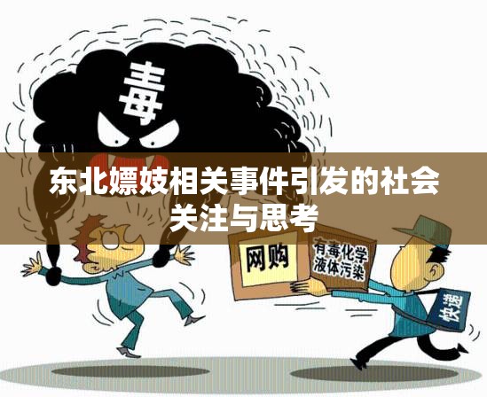 东北嫖妓相关事件引发的社会关注与思考