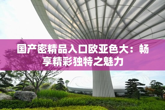国产密精品入口欧亚色大：畅享精彩独特之魅力