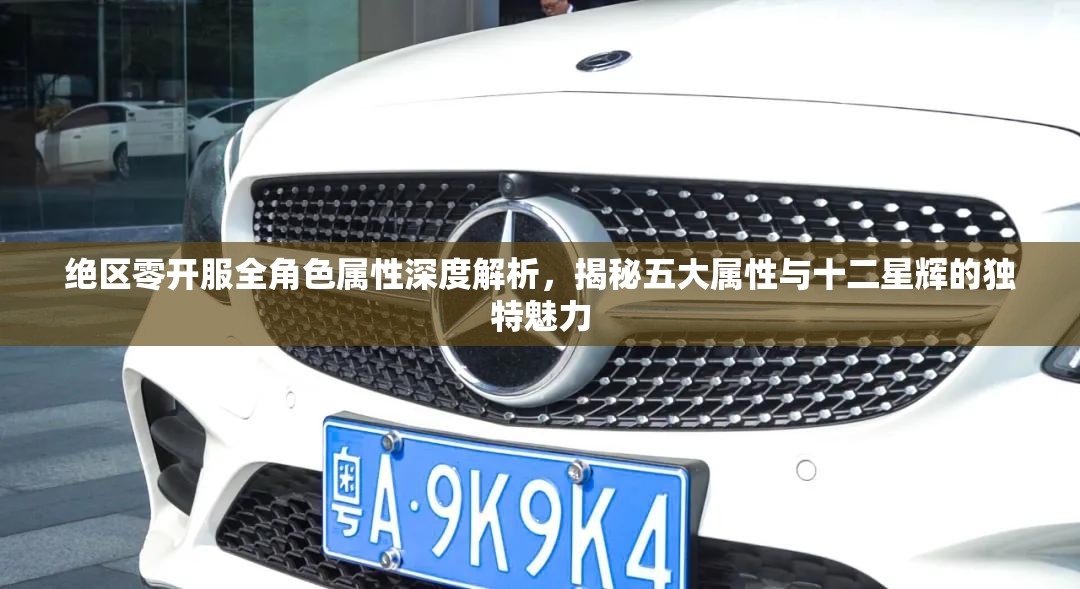 绝区零开服全角色属性深度解析，揭秘五大属性与十二星辉的独特魅力