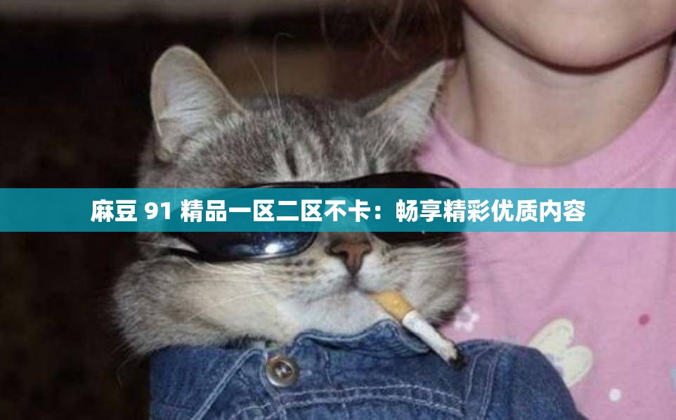 麻豆 91 精品一区二区不卡：畅享精彩优质内容