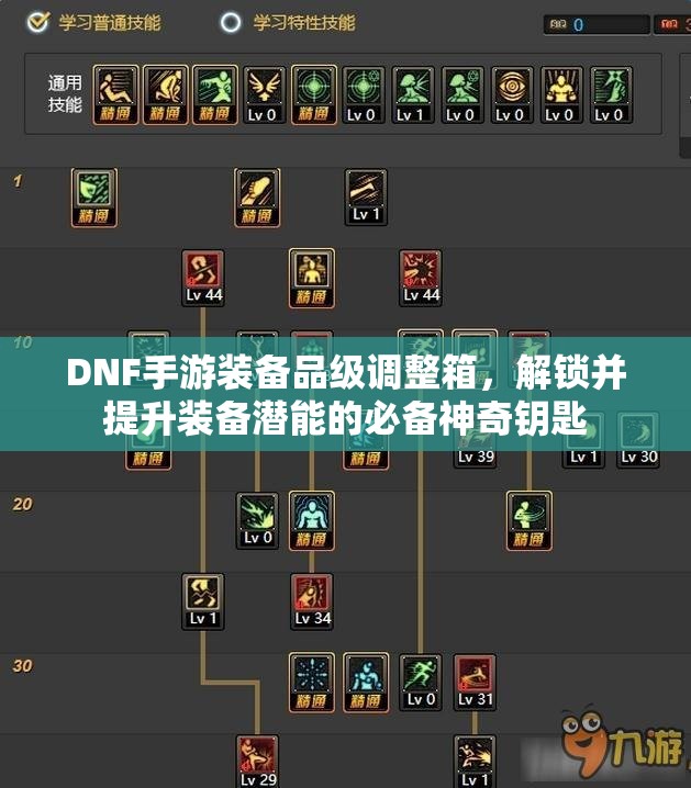 DNF手游装备品级调整箱，解锁并提升装备潜能的必备神奇钥匙