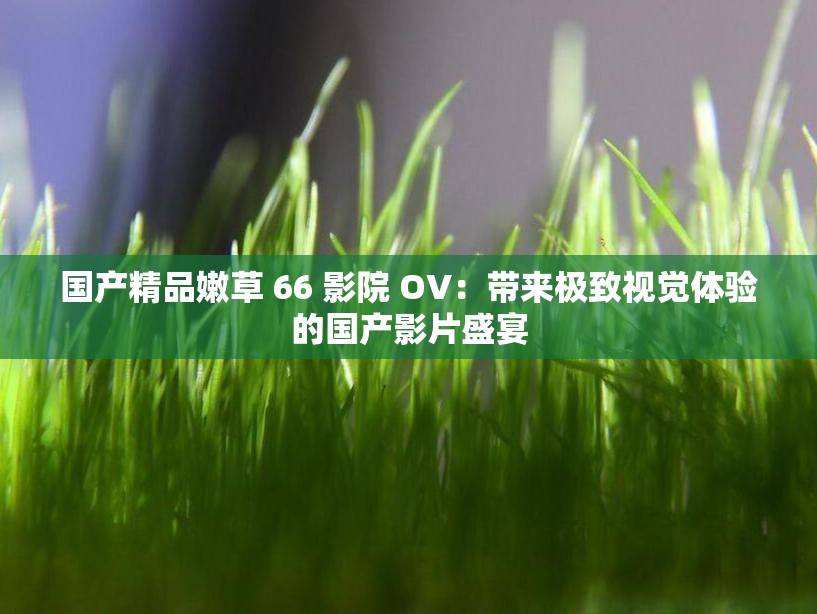 国产精品嫩草 66 影院 OV：带来极致视觉体验的国产影片盛宴