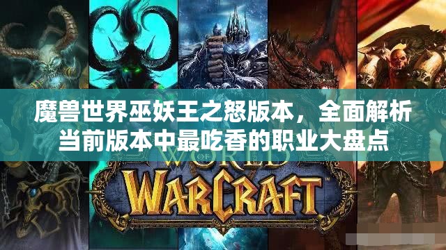 魔兽世界巫妖王之怒版本，全面解析当前版本中最吃香的职业大盘点