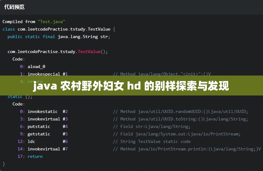 java 农村野外妇女 hd 的别样探索与发现