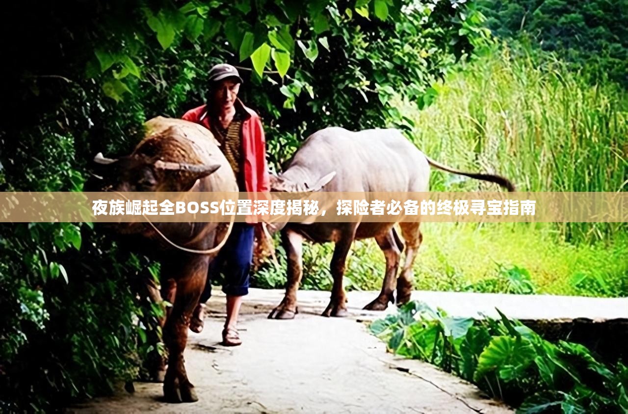夜族崛起全BOSS位置深度揭秘，探险者必备的终极寻宝指南