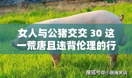 女人与公猪交交 30 这一荒唐且违背伦理的行为