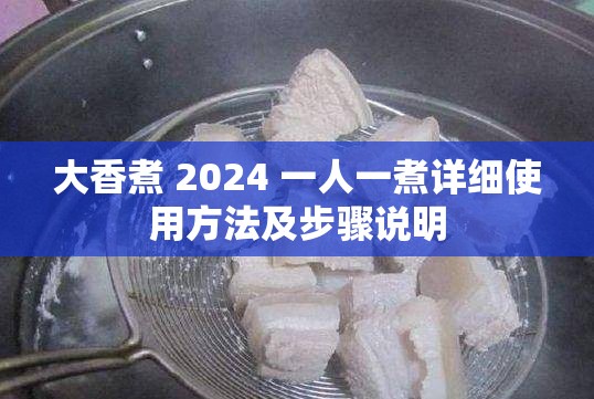 大香煮 2024 一人一煮详细使用方法及步骤说明