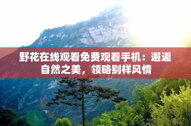 野花在线观看免费观看手机：邂逅自然之美，领略别样风情