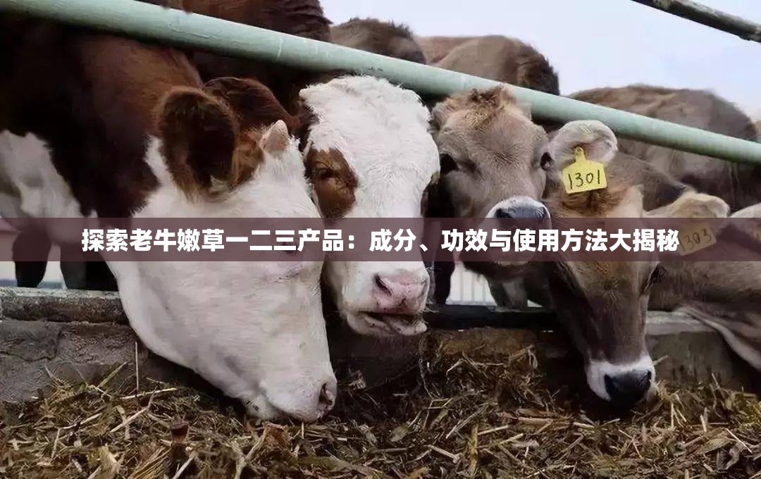 探索老牛嫩草一二三产品：成分、功效与使用方法大揭秘