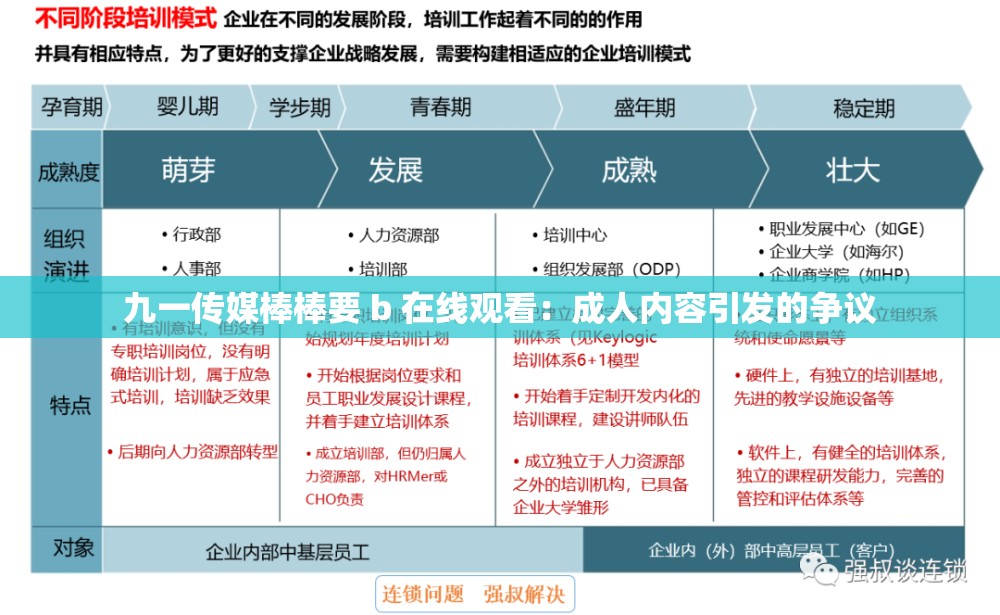 九一传媒棒棒要 b 在线观看：成人内容引发的争议