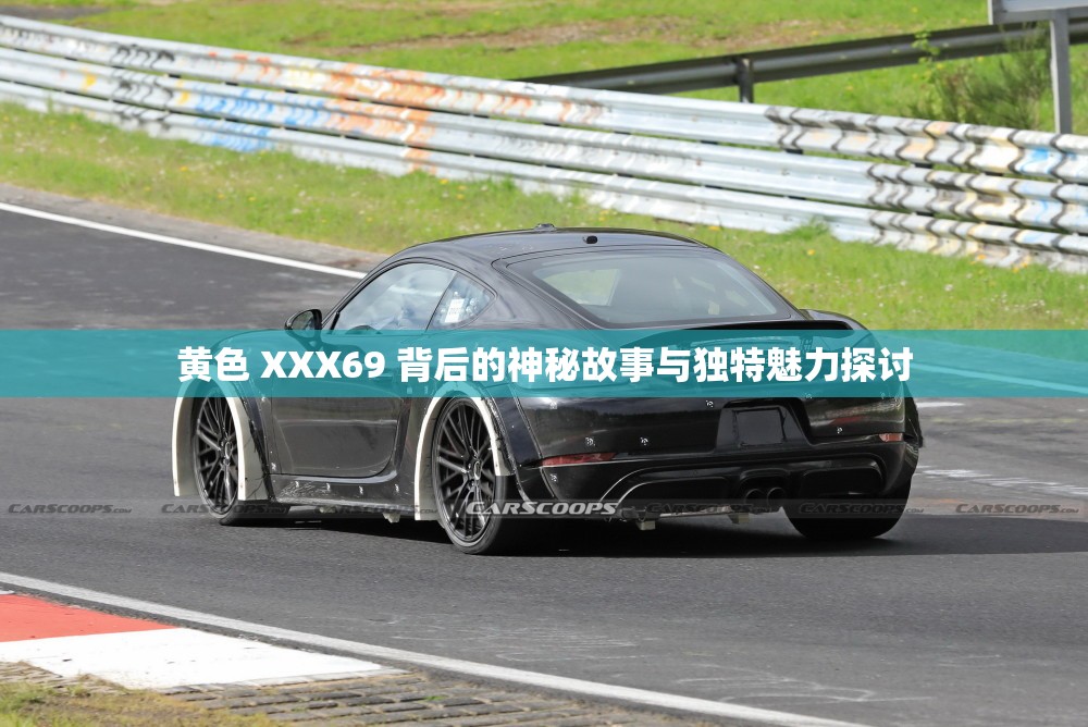 黄色 XXX69 背后的神秘故事与独特魅力探讨