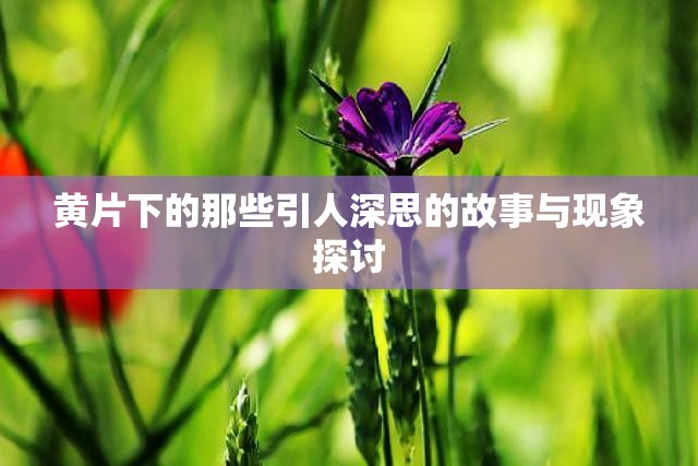 黄片下的那些引人深思的故事与现象探讨