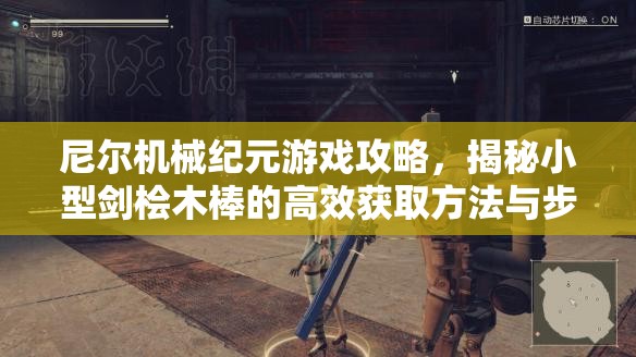尼尔机械纪元游戏攻略，揭秘小型剑桧木棒的高效获取方法与步骤