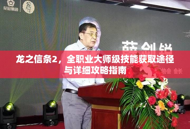 龙之信条2，全职业大师级技能获取途径与详细攻略指南