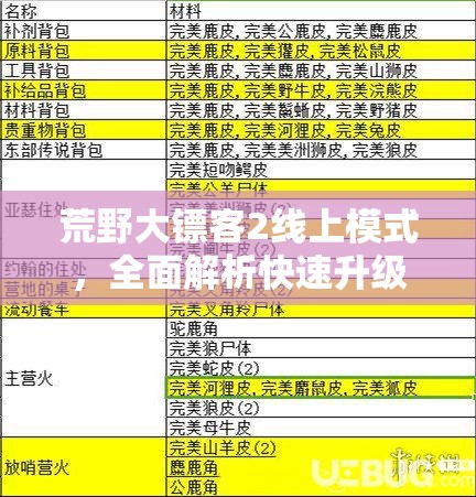 荒野大镖客2线上模式，全面解析快速升级攻略，掌握资源管理、高效技巧并规避浪费