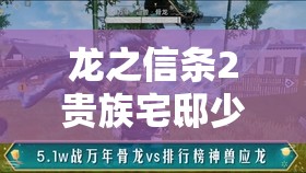 龙之信条2贵族宅邸少年任务深度解析，智慧与勇气并存的终极冒险攻略