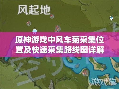 原神游戏中风车菊采集位置及快速采集路线图详解指南