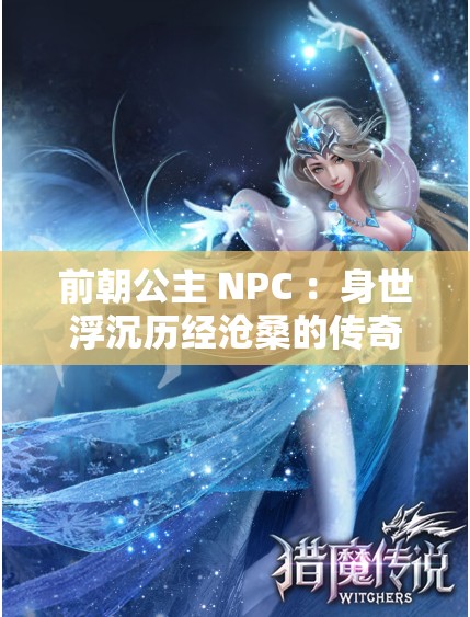 前朝公主 NPC ：身世浮沉历经沧桑的传奇女子