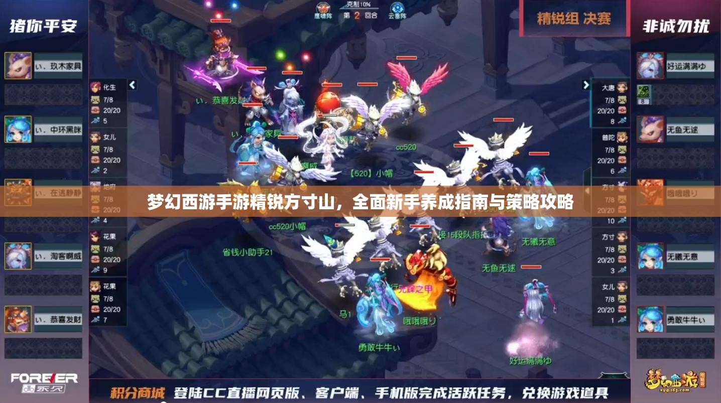 梦幻西游手游精锐方寸山，全面新手养成指南与策略攻略