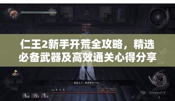 仁王2新手开荒全攻略，精选必备武器及高效通关心得分享