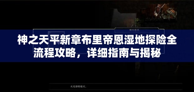 神之天平新章布里帝恩湿地探险全流程攻略，详细指南与揭秘
