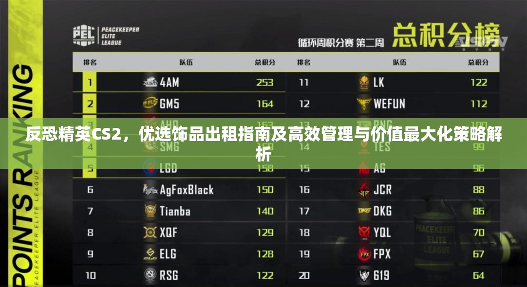反恐精英CS2，优选饰品出租指南及高效管理与价值最大化策略解析