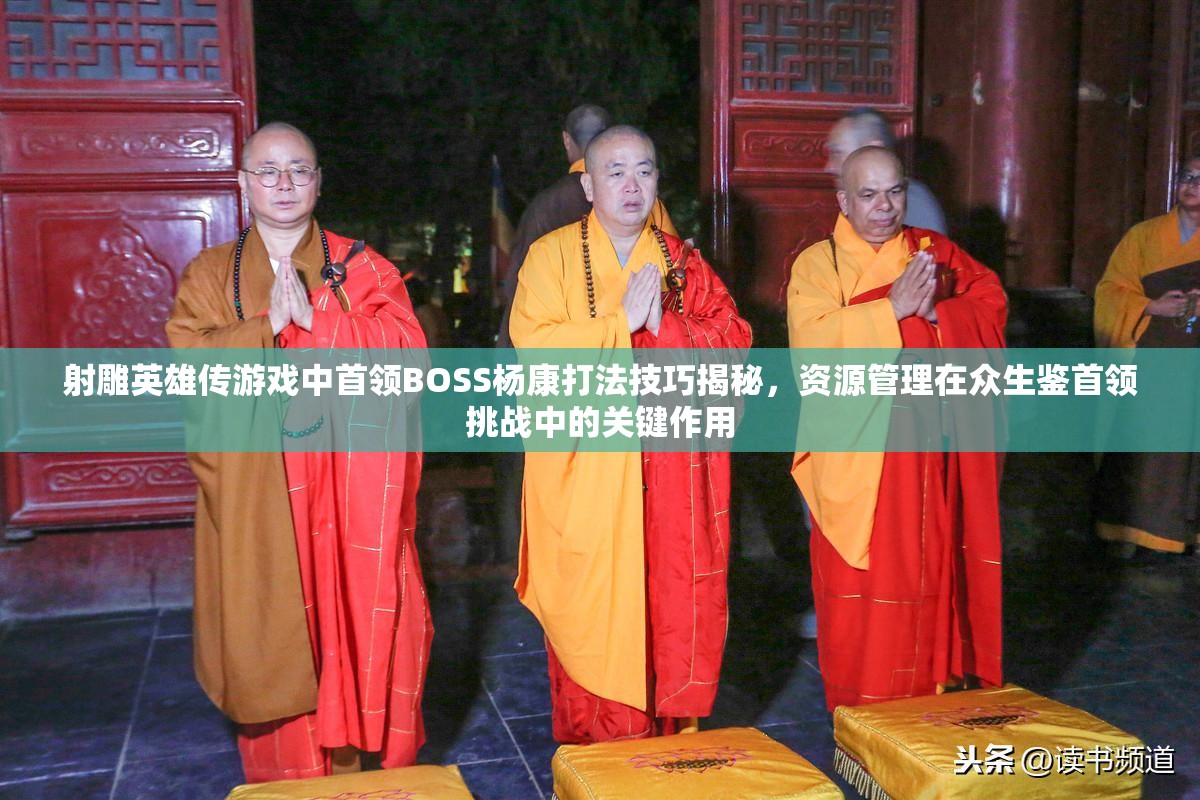 射雕英雄传游戏中首领BOSS杨康打法技巧揭秘，资源管理在众生鉴首领挑战中的关键作用