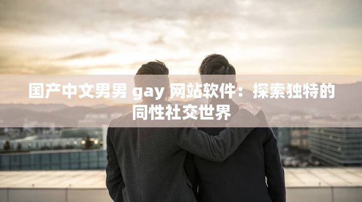 国产中文男男 gay 网站软件：探索独特的同性社交世界