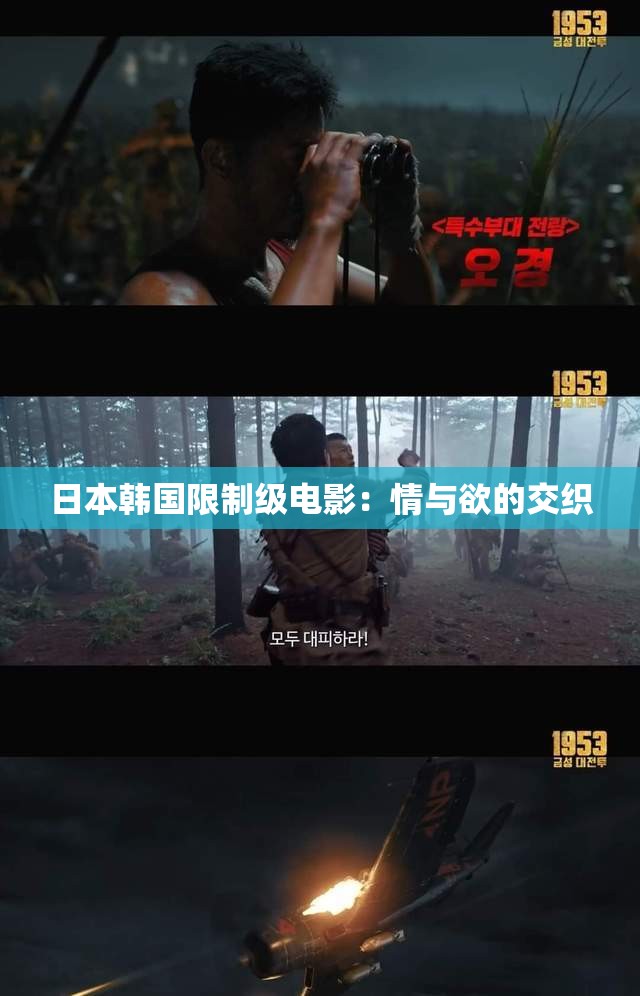 日本韩国限制级电影：情与欲的交织