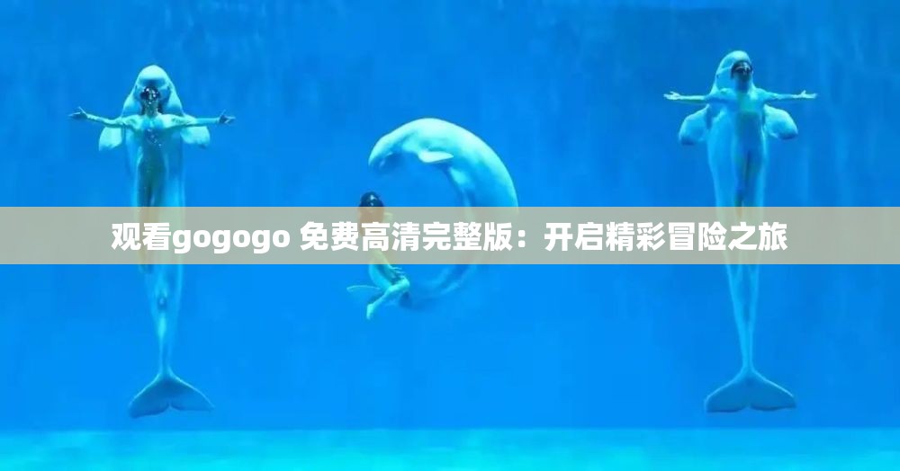 观看gogogo 免费高清完整版：开启精彩冒险之旅