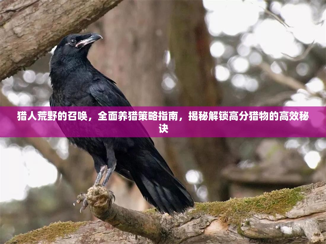猎人荒野的召唤，全面养猎策略指南，揭秘解锁高分猎物的高效秘诀