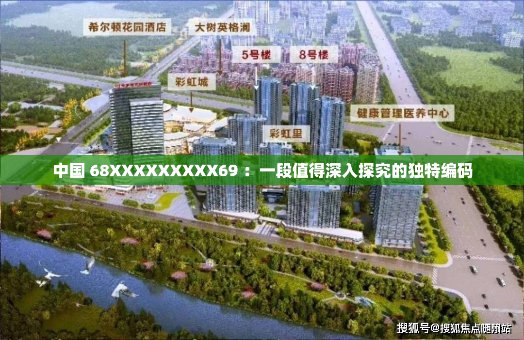 中国 68XXXXXXXXX69 ：一段值得深入探究的独特编码