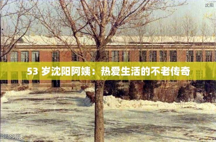 53 岁沈阳阿姨：热爱生活的不老传奇
