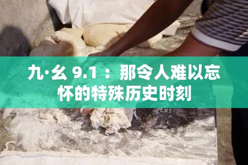 九·幺 9.1 ：那令人难以忘怀的特殊历史时刻