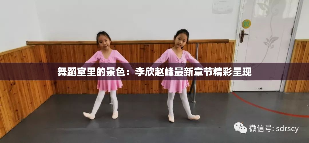 舞蹈室里的景色：李欣赵峰最新章节精彩呈现