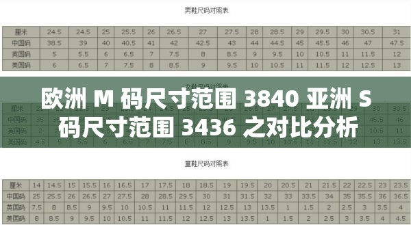 欧洲 M 码尺寸范围 3840 亚洲 S 码尺寸范围 3436 之对比分析