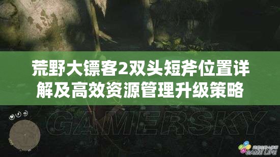 荒野大镖客2双头短斧位置详解及高效资源管理升级策略