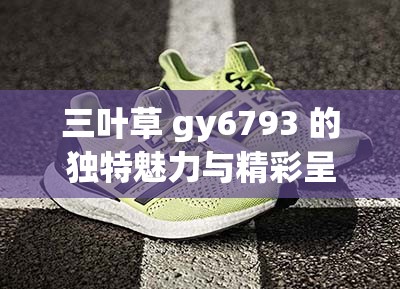 三叶草 gy6793 的独特魅力与精彩呈现