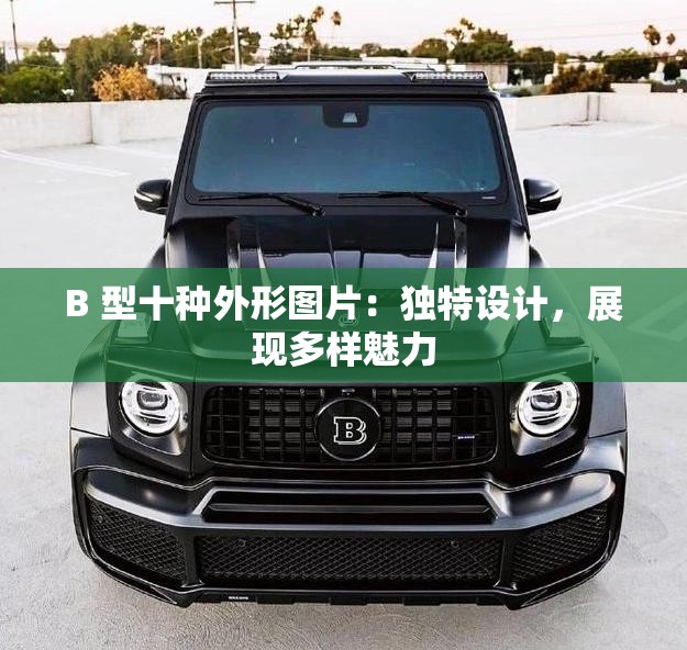 B 型十种外形图片：独特设计，展现多样魅力