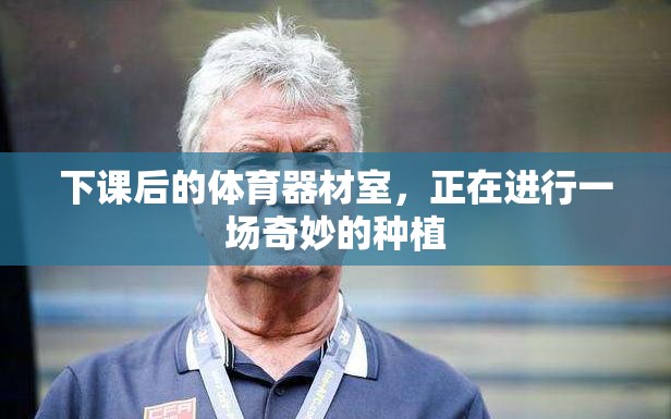 下课后的体育器材室，正在进行一场奇妙的种植
