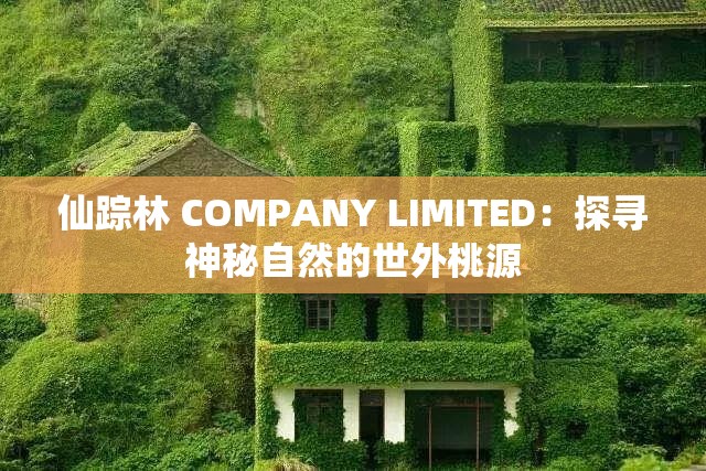 仙踪林 COMPANY LIMITED：探寻神秘自然的世外桃源